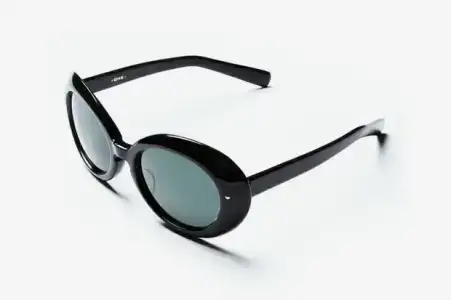 $nn-2011-sunglasses-1.webp