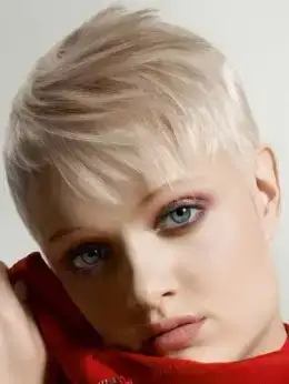 $short_hair53_thumb.webp