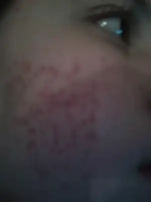 $2013-02-03 19.19.26.webp