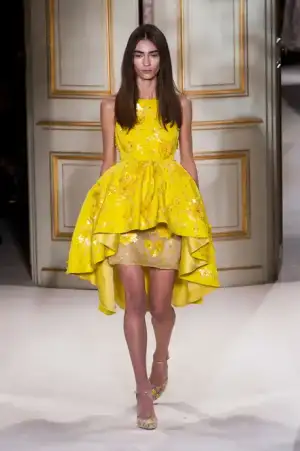 $giambattista_valli_2013_ilkbahar_yaz (28).webp