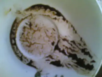 $06022013(010).webp