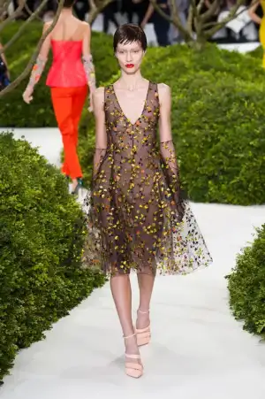 $Christian_Dior_2013_ilkbahar_Yaz (28).webp