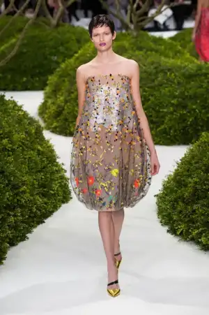 $Christian_Dior_2013_ilkbahar_Yaz (31).webp