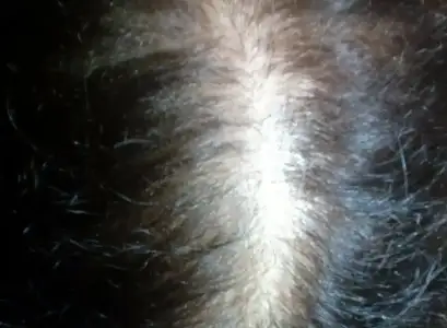 $2013-02-10-0357_q1_Q1.webp