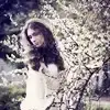 $sakura_by_snowfall_lullaby-d4yoprx.webp
