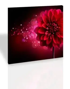 $B10195-krizantem_2.webp