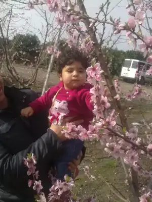 $10022013022.webp