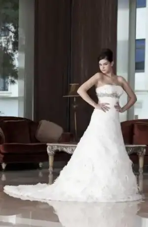 $pierre_cardin-2013_gelinlik_modelleri (22).webp