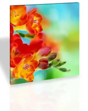 $B10167-cicek_2.webp