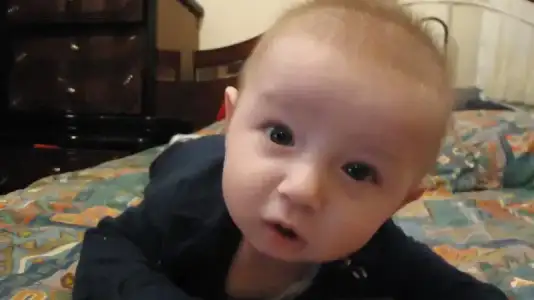 $DSC00688.webp $DSC00688.webp