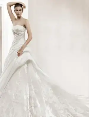 $48247236064ff2c966a8b.webp