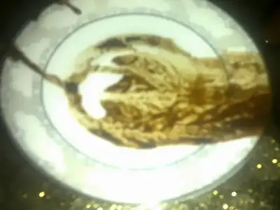 $20022013037.webp