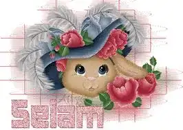 $selaaaamm.webp