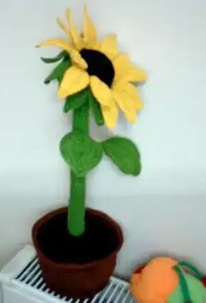 $FotoÃ°raf - 22-01-2013 20.22.webp