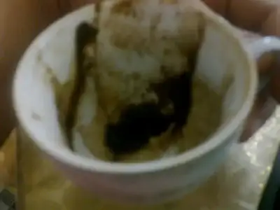 $25022013049.webp