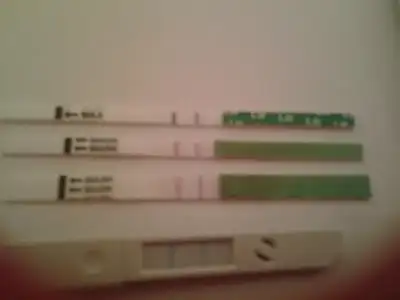 $20130225_213701.webp