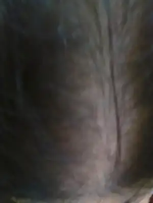 $2013-02-27-0481_q1.webp