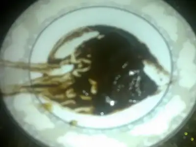 $01032013073.webp