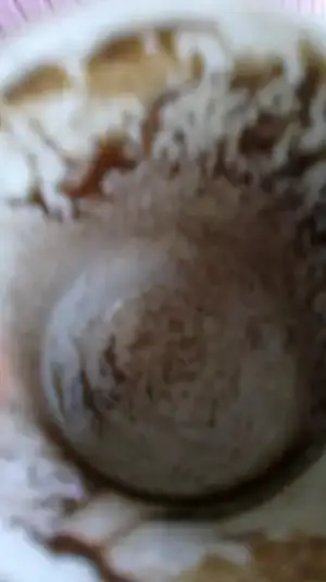 $2013-02-03-605.webp