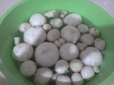 $IMG20130304_003.webp $IMG20130304_003.webp