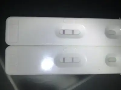 $05032013479.webp