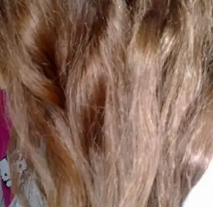 $060320133351.webp