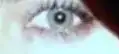 $....webp