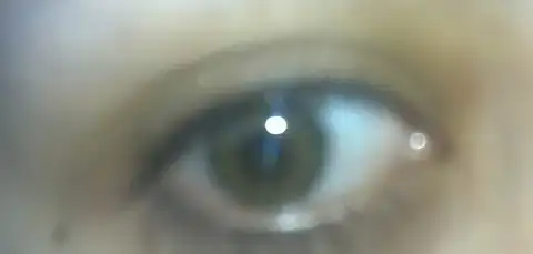 $21122011088.webp