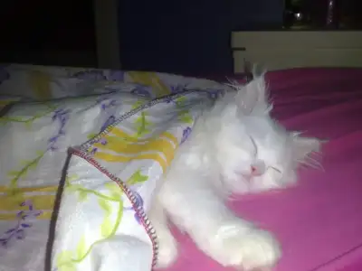 $240720091142.webp