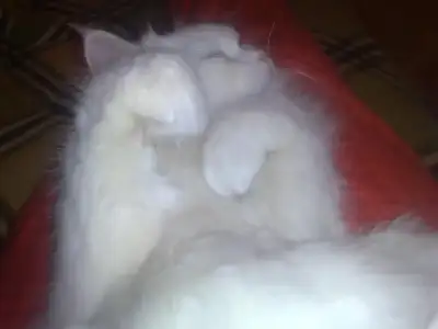 $061120091652.webp