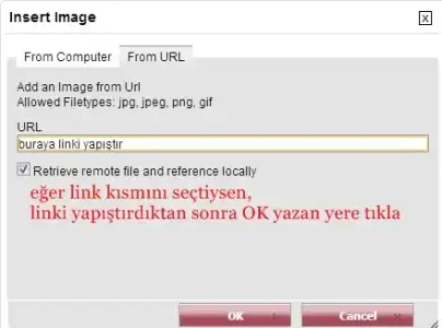 $4.webp