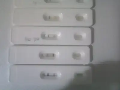 $130308-1018.webp