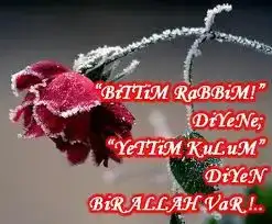 $A036HOCA6HOLLRCAJV1GSGCA9P7PJSCABXDJ4XCAECG35LCAYGC9HKCAC66FQZCAH85I3MCA00U8ZWCAL2VX6UCAMIP9...webp