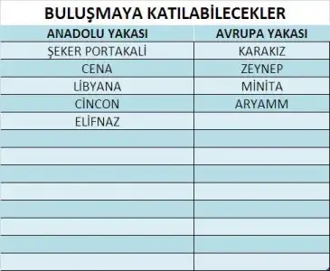 $ads&#305;z.webp