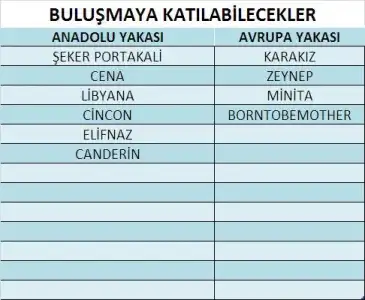 $ads&#305;z.webp