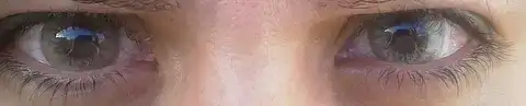$15032013353.webp