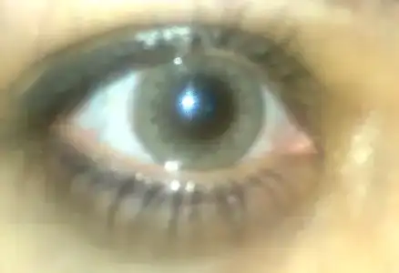 $15032013314.webp