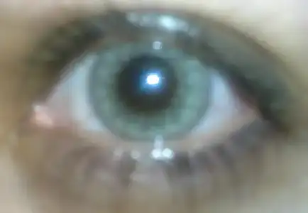 $15032013315.webp