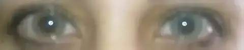 $15032013318.webp