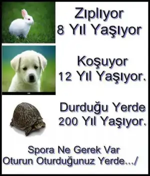 $oturun oturdu&#287;unuz yerde.webp