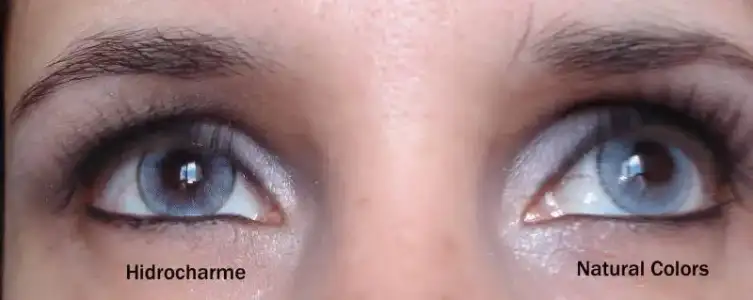 $DSC03806copia cópia.webp $DSC03806copia cópia.webp