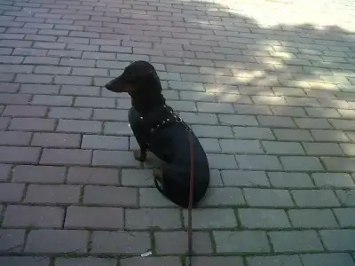 $Kadıköy-20120324-00384.webp $Kadıköy-20120324-00384.webp