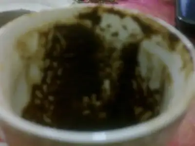 $19032013132.webp