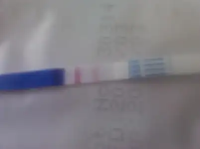 $erken gebelik testi.webp