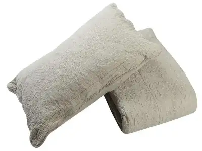 $7370d195-8a42-41a0-9efd-2a49deba3726.webp