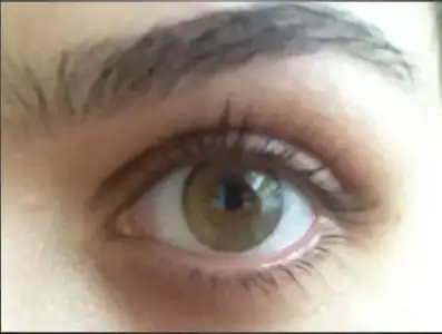 $nTURL COLURS MEL.webp