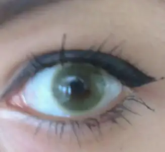 $IMAG0297_1.webp $IMAG0297_1.webp