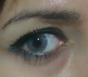 $IMAG0164_1.webp $IMAG0164_1.webp