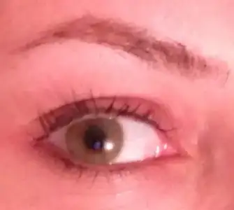 $IMG_0035.webp $IMG_0035.webp