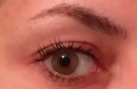 $IMG_0034.webp $IMG_0034.webp